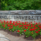 Photo via Cornell/ FB